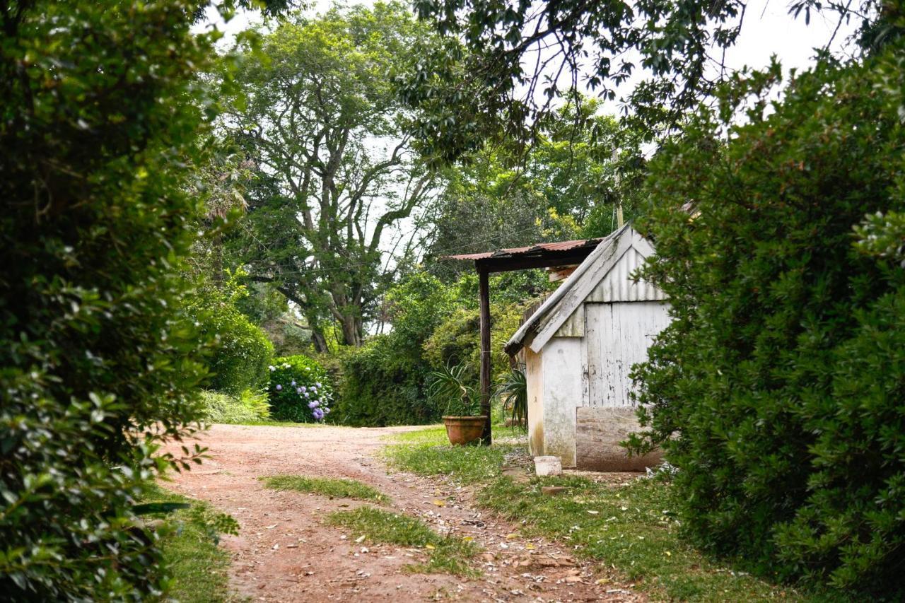 The Knoll Historic Guest Farm Villa Hilton Exterior foto
